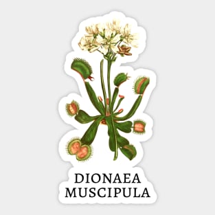 Botany Carnivorous plant Dionaea Muscipula Venus fly trap Sticker